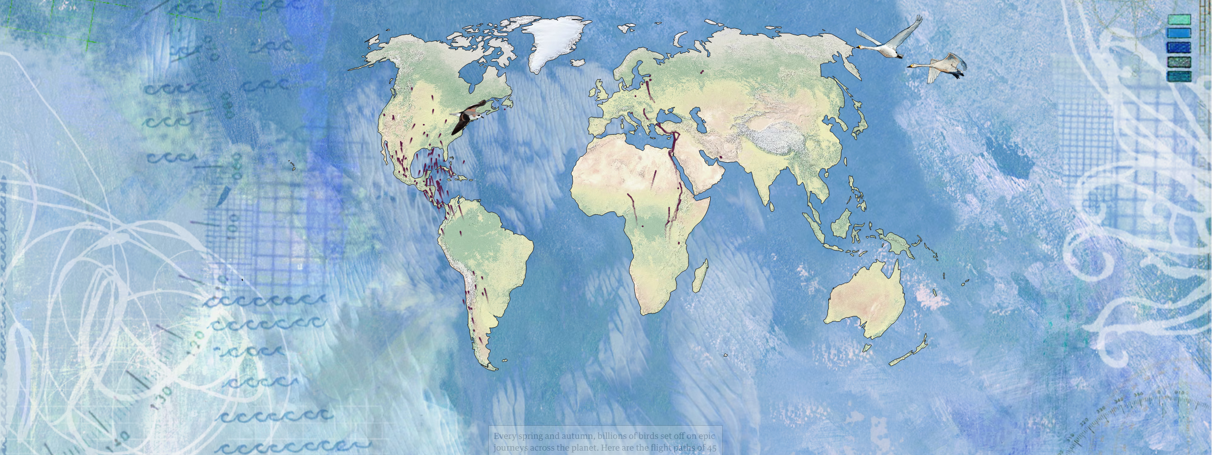Photo of butterfly wing and thermal scans indicating temperature distribution